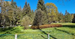 Teren 4286 mp. de vanzare Predeal  Valea Rasnoavei