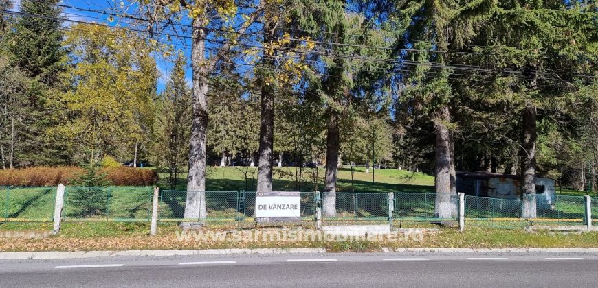 Teren 1286 mp. de vanzare Predeal Valea Rasnoavei