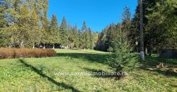 Teren 1286 mp. de vanzare Predeal Valea Rasnoavei