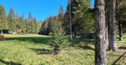 Teren 1286 mp. de vanzare Predeal Valea Rasnoavei