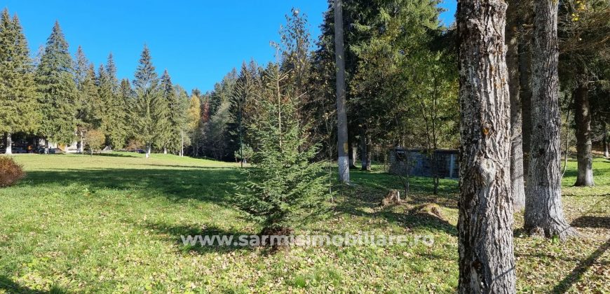Teren 4286 mp. de vanzare Predeal  Valea Rasnoavei