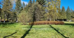 Teren 1286 mp. de vanzare Predeal Valea Rasnoavei