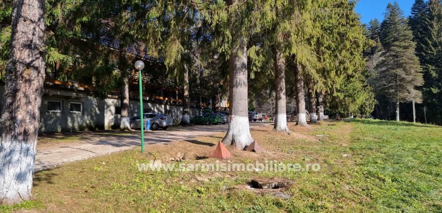 Teren 2177mp. De Vanzare in Predeal – Valea Rasnoavei