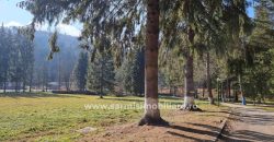 Teren 2177mp. De Vanzare in Predeal – Valea Rasnoavei