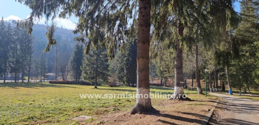 Teren 2177mp. De Vanzare in Predeal – Valea Rasnoavei