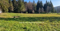 Teren 2177mp. De Vanzare in Predeal – Valea Rasnoavei