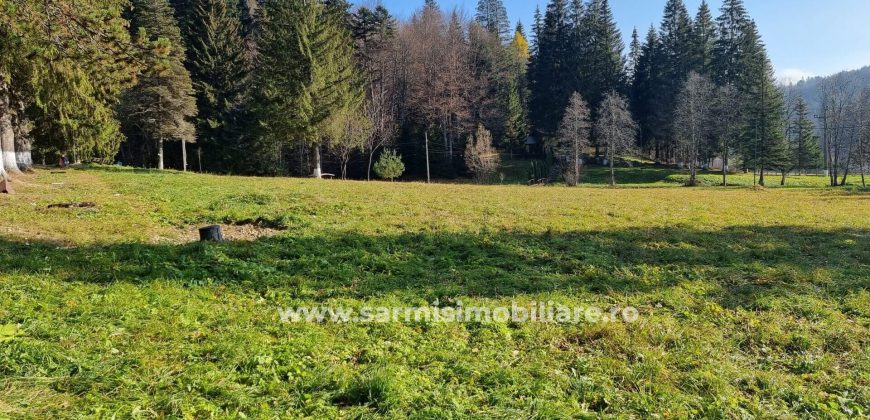 Teren 2177mp. De Vanzare in Predeal – Valea Rasnoavei