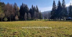 Teren 2177mp. De Vanzare in Predeal – Valea Rasnoavei