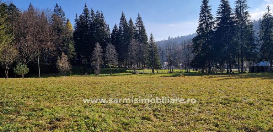 Teren 2177mp. De Vanzare in Predeal – Valea Rasnoavei