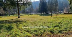 Teren 2177mp. De Vanzare in Predeal – Valea Rasnoavei