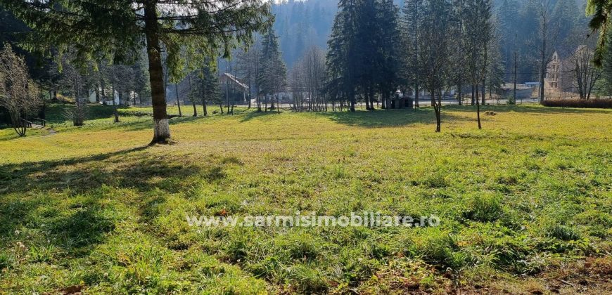 Teren 2177mp. De Vanzare in Predeal – Valea Rasnoavei