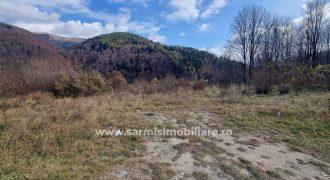 Teren 2699mp. de Vanzare in Orasul Sinaia Cartier Platou Izvor