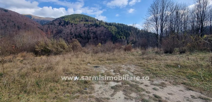 Teren 2699mp. de Vanzare in Orasul Sinaia Cartier Platou Izvor