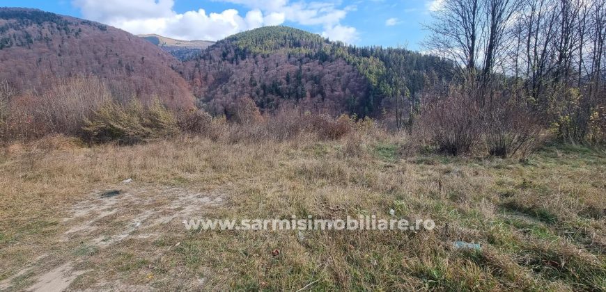 Teren 2699mp. de Vanzare in Orasul Sinaia Cartier Platou Izvor