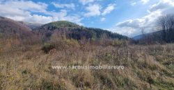 Teren 2699mp. de Vanzare in Orasul Sinaia Cartier Platou Izvor