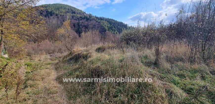 Teren 2699mp. de Vanzare in Orasul Sinaia Cartier Platou Izvor