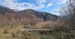 Teren 2699mp. de Vanzare in Orasul Sinaia Cartier Platou Izvor