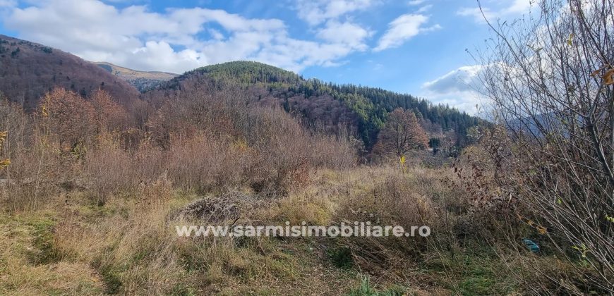 Teren 2699mp. de Vanzare in Orasul Sinaia Cartier Platou Izvor