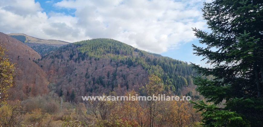 Teren 2699mp. de Vanzare in Orasul Sinaia Cartier Platou Izvor