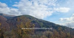 Teren 2699mp. de Vanzare in Orasul Sinaia Cartier Platou Izvor