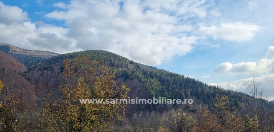Teren 2699mp. de Vanzare in Orasul Sinaia Cartier Platou Izvor
