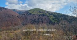 Teren 2699mp. de Vanzare in Orasul Sinaia Cartier Platou Izvor