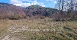 Teren 4034mp. de Vanzare in Orasul Sinaia Cartier Platou Izvor