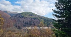 Teren 4034mp. de Vanzare in Orasul Sinaia Cartier Platou Izvor