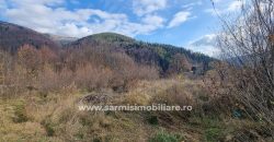 Teren 6733mp. de Vanzare in Orasul Sinaia Cartier Platou Izvor