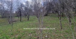 Teren 4150mp. de vanzare Comarnic