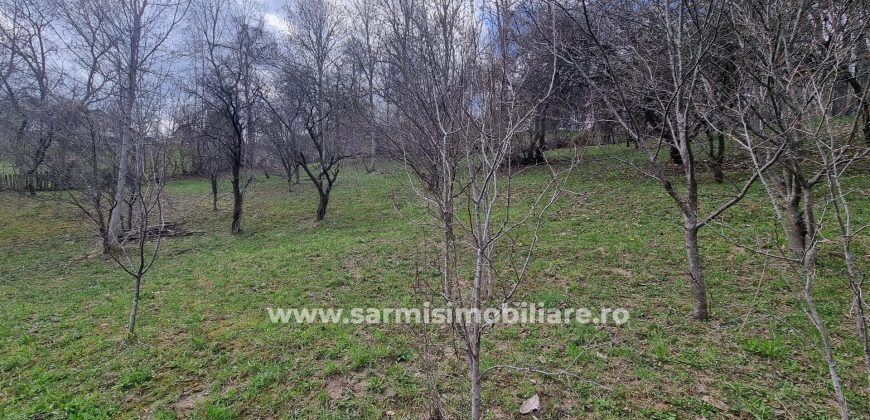 Teren 4150mp. de vanzare Comarnic