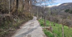 Teren 4150mp. de vanzare Comarnic