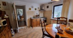 Vila duplex D+P+M de vanzare Sinaia
