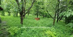 Vila Breaza cu 3659 mp. teren de vanzare