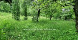 Vila Breaza cu 3659 mp. teren de vanzare