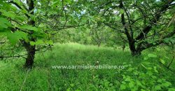 Vila Breaza cu 3659 mp. teren de vanzare