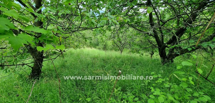 Vila Breaza cu 3659 mp. teren de vanzare