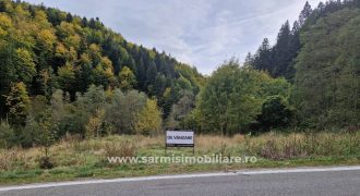 Teren 3594 mp. de vanzare in Sinaia