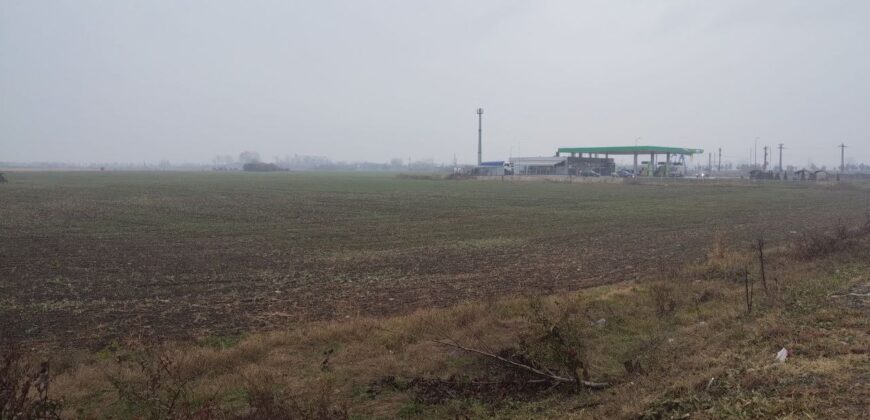 Teren 15131 mp. de vanzare   Campina – Comuna Floresti