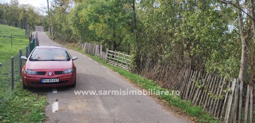 Teren 6762 mp. de vanzare Campina – Comuna Sotrile