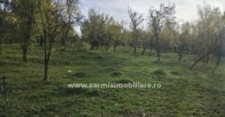 Teren 6762 mp. de vanzare Campina – Comuna Sotrile