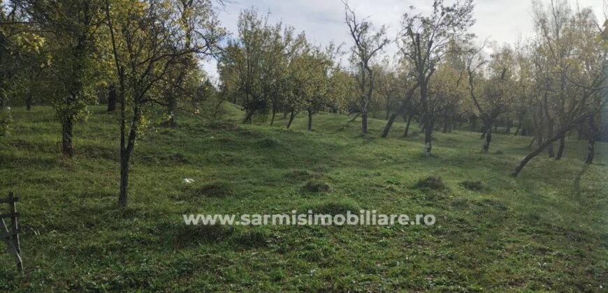Teren 6762 mp. de vanzare Campina – Comuna Sotrile