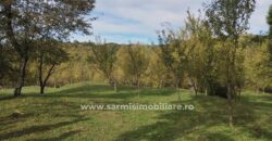 Teren 6762 mp. de vanzare Campina – Comuna Sotrile