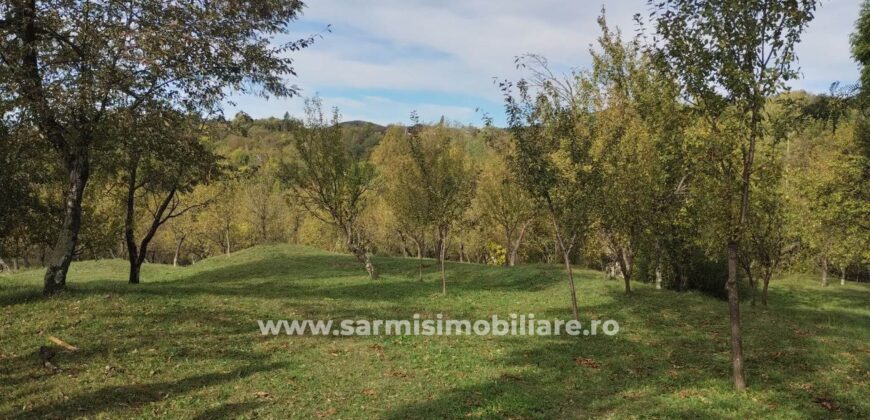 Teren 6762 mp. de vanzare Campina – Comuna Sotrile