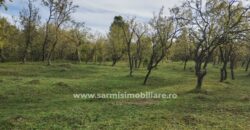 Teren 6762 mp. de vanzare Campina – Comuna Sotrile