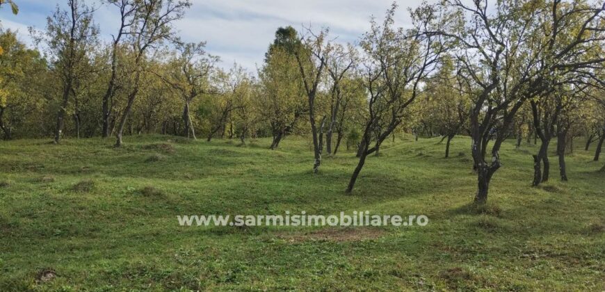 Teren 6762 mp. de vanzare Campina – Comuna Sotrile