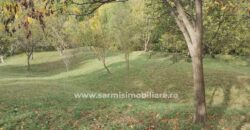 Teren 6762 mp. de vanzare Campina – Comuna Sotrile