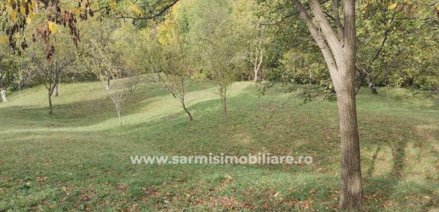 Teren 6762 mp. de vanzare Campina – Comuna Sotrile