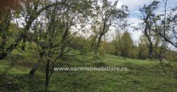 Teren 6762 mp. de vanzare Campina – Comuna Sotrile