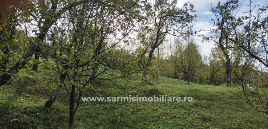 Teren 6762 mp. de vanzare Campina – Comuna Sotrile